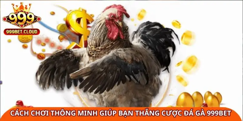 Cách chơi thông minh giúp bạn thắng cược đá gà 999Bet