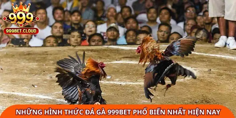 Những hình thức đá gà 999Bet phổ biến nhất hiện nay