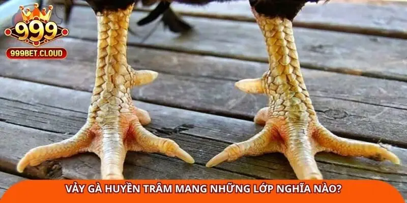 Vảy Gà Huyền Trâm mang những lớp nghĩa nào?